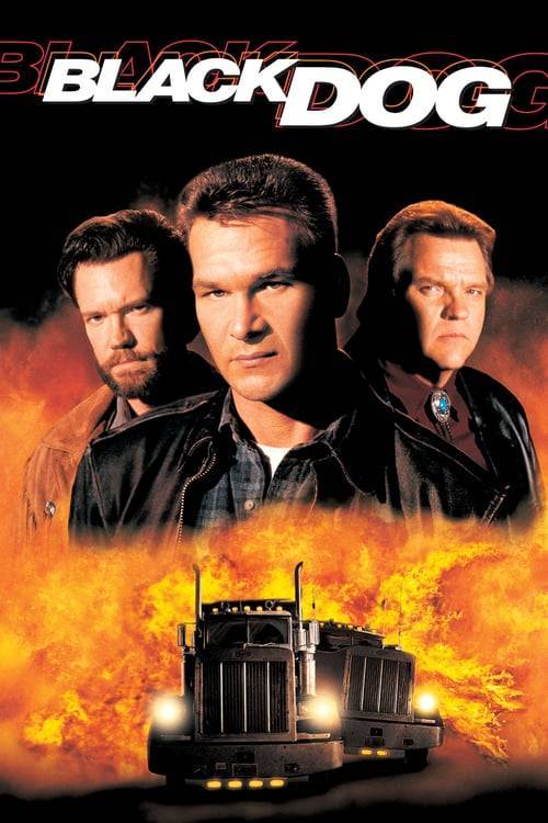 ดูหนังออนไลน์ฟรี Black Dog (1998) ไอ้หมาบ้าผ่าไฮเวย์นรก