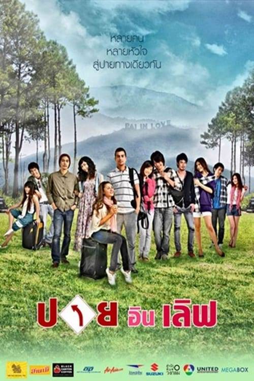 ดูหนังออนไลน์ฟรี Pai In Love (2009) ปาย อิน เลิฟ