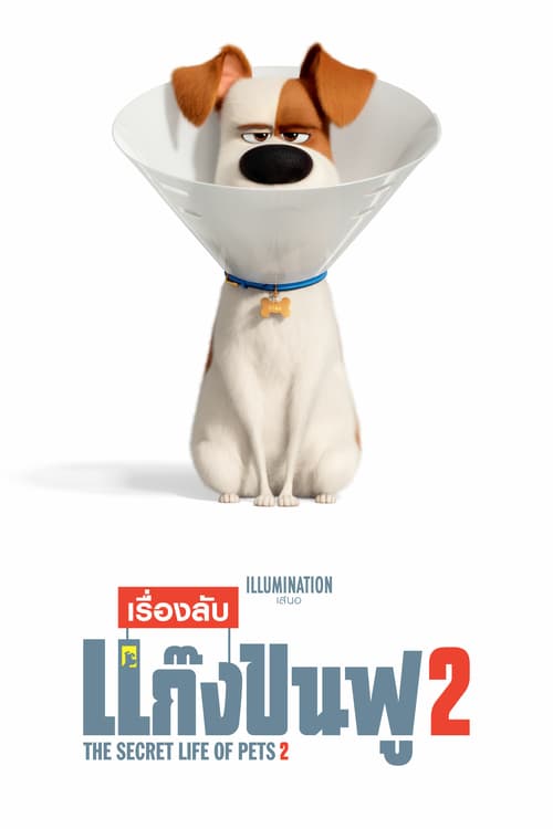 ดูหนังออนไลน์ฟรี Secret Life of Pets 2 (2019) เรื่องลับแก๊งขนฟู 2
