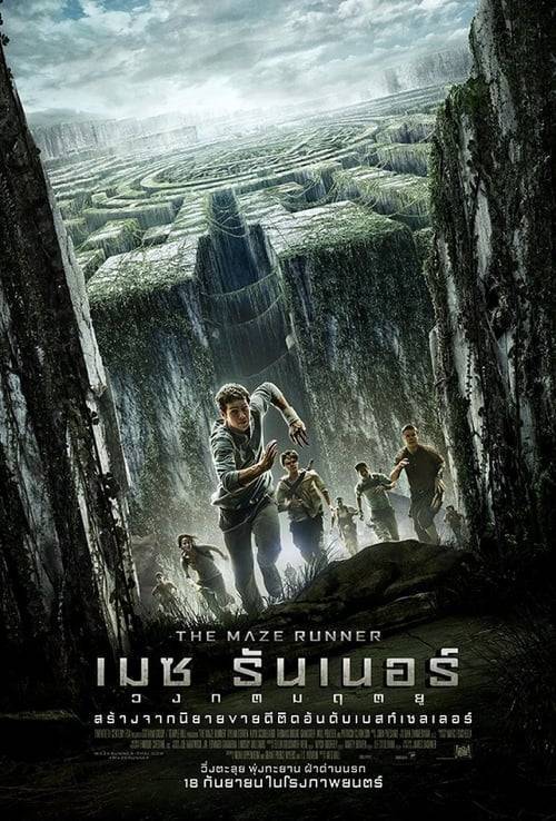 ดูหนังออนไลน์ฟรี The Maze Runner 1 (2014) เมซ รันเนอร์ 1 : วงกตมฤตยู