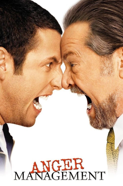 ดูหนังออนไลน์ฟรี Anger Management (2003) สูตรเด็ด เพชฌฆาตความเครียด
