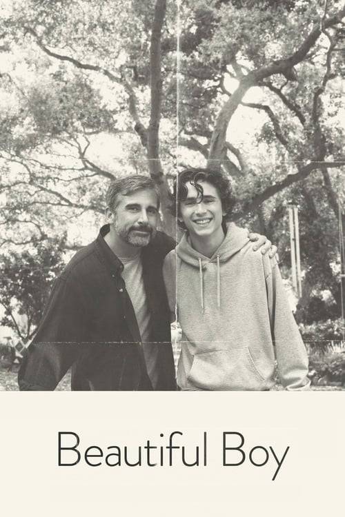 ดูหนังออนไลน์ฟรี Beautiful Boy (2018) แด่ลูกชายสุดที่รัก