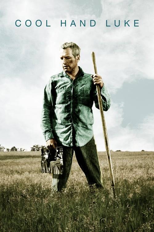 ดูหนังออนไลน์ฟรี Cool Hand Luke (1967) คนสู้คน