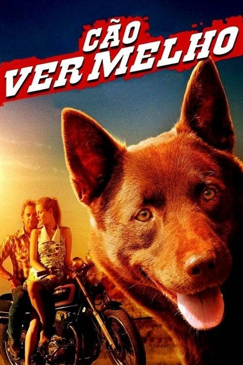 ดูหนังออนไลน์ฟรี Red Dog (2011) เพื่อนซี้หัวใจหยุดโลก