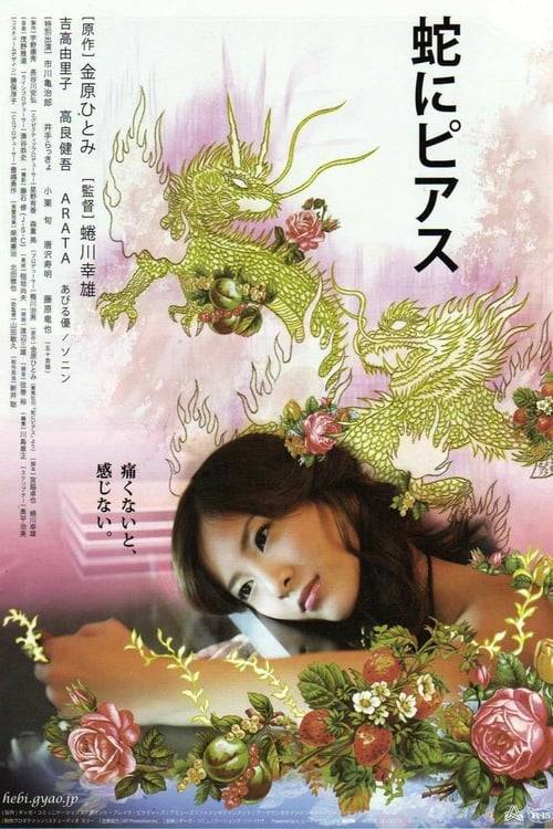 ดูหนังออนไลน์ฟรี Snakes and Earrings (2008) แด่ความรักด้วยความเจ็บปวด