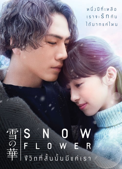 ดูหนังออนไลน์ฟรี Snow Flower (2019) ชีวิตที่สั้นนั้นมีแค่เรา