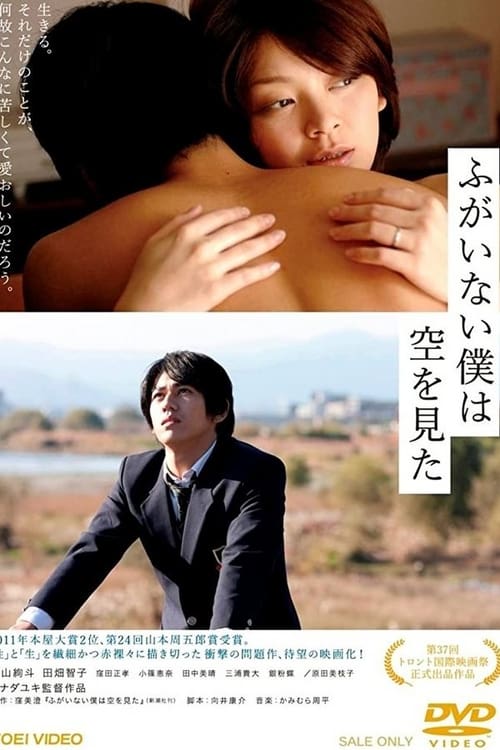 ดูหนังออนไลน์ฟรี [18+] The Cowards Who Looked to the Sky (2012) คนขลาดเขลาที่กล้ามองฟ้า
