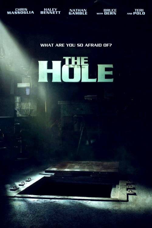 ดูหนังออนไลน์ฟรี The Hole (2009) มหัศจรรย์หลุมทะลุพิภพ