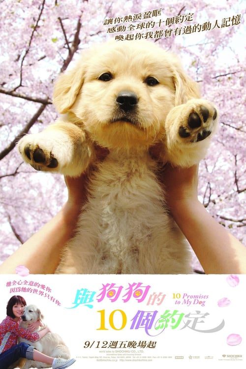 ดูหนังออนไลน์ฟรี 10 Promises to My Dog (2008) 10 ข้อสัญญาน้องหมาของฉัน