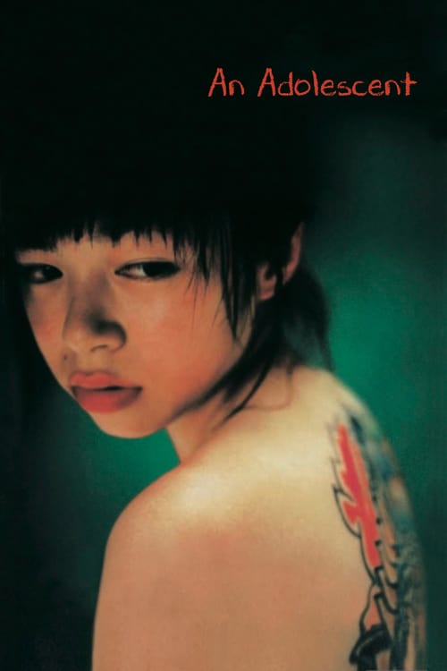 ดูหนังออนไลน์ฟรี 18+ An Adolescent (2001)