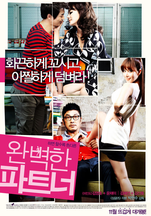 ดูหนังออนไลน์ฟรี 18+ Perfect Partner (2011)