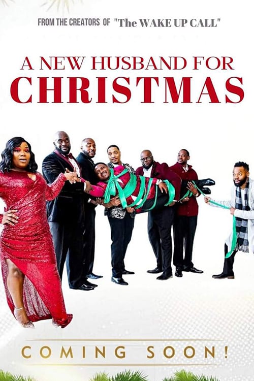 ดูหนังออนไลน์ฟรี A New Husband for Christmas (2020) ผัวคนใหม่ในวันคริสมาสต์