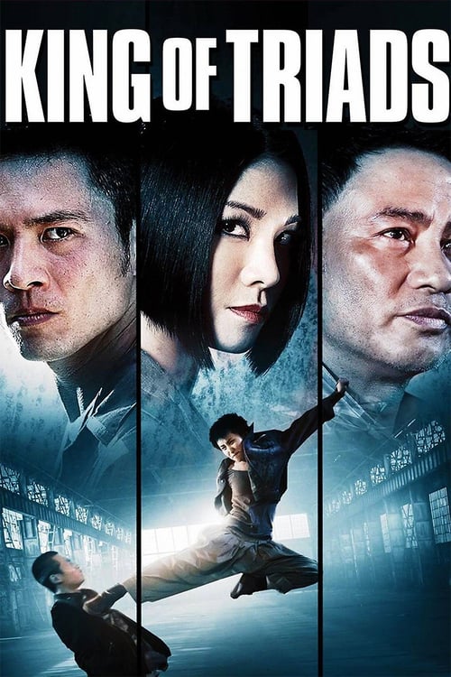 ดูหนังออนไลน์ฟรี Bad Blood (2010) เตะสู้ฟัด วัดใจเจ้าพ่อ