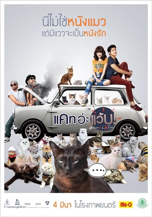 ดูหนังออนไลน์ฟรี Cat A Wabb (2015) แคท อ่ะ แว้บ แบบว่ารักอ่ะ