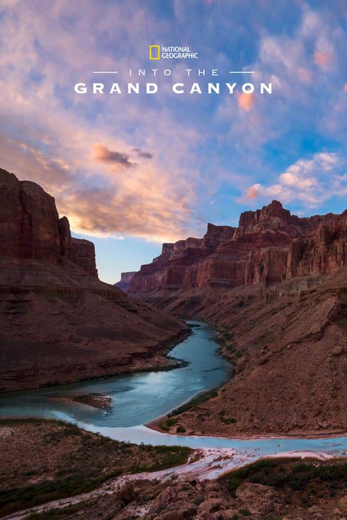 ดูหนังออนไลน์ฟรี Into the Canyon (2019)