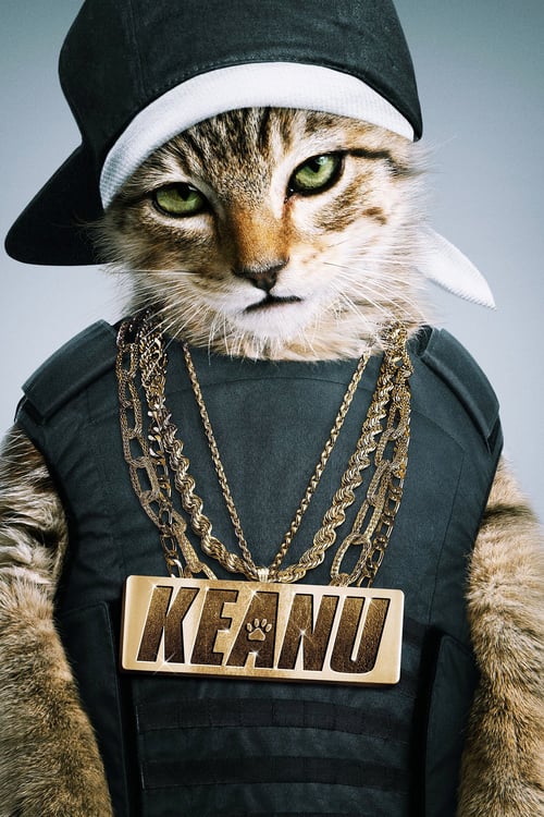 ดูหนังออนไลน์ฟรี Keanu (2016) ปล้นแอ๊บแบ๊ว ทวงแมวเหมียว