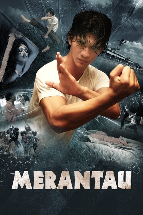 ดูหนังออนไลน์ฟรี Merantau (2009) เดินออกไป