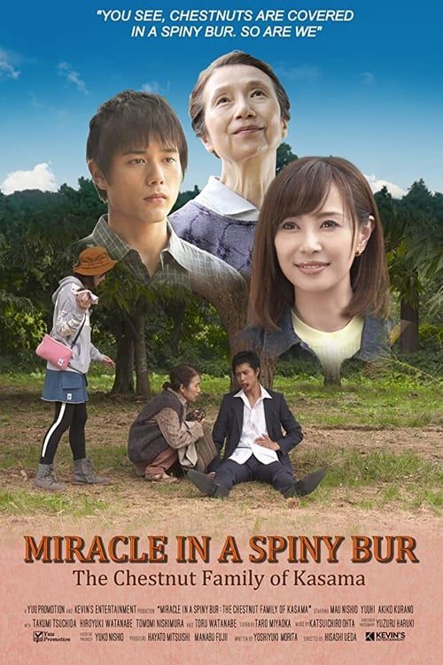 ดูหนังออนไลน์ฟรี Miracle In Kasama (2018)
