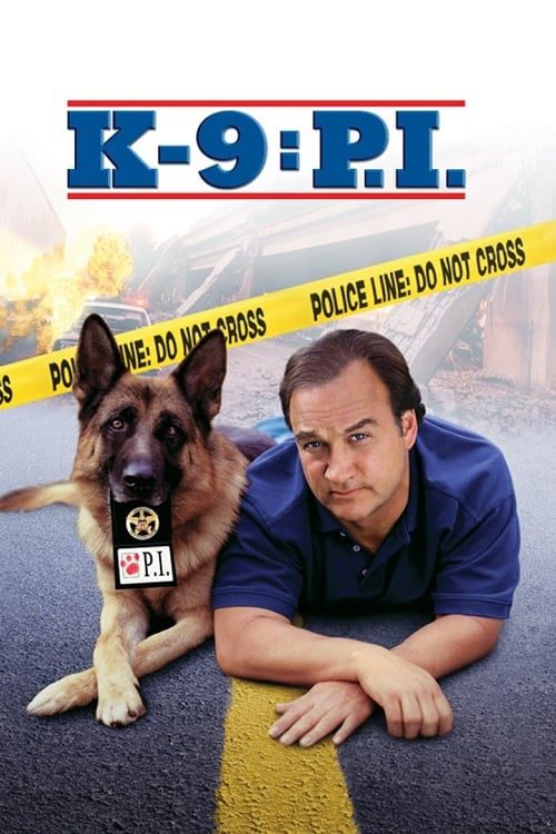ดูหนังออนไลน์ฟรี [NETFLIX] K-9 P.I. (2002)
