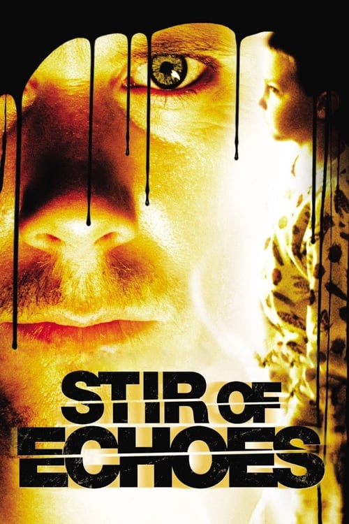 ดูหนังออนไลน์ฟรี Stir of Echoes (1999) เสียงศพสะท้อนวิญญาณ