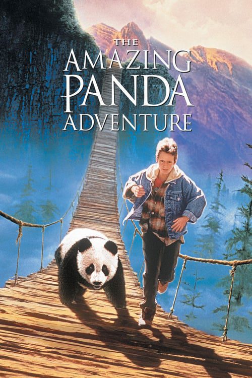 ดูหนังออนไลน์ฟรี The Amazing Panda Adventure (1995) แพนด้าน้อยผจญภัยสุดขอบฟ้า