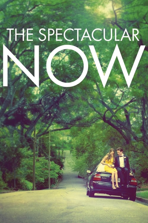 ดูหนังออนไลน์ฟรี The Spectacular Now (2013) ใครสักคนบนโลกใบนี้