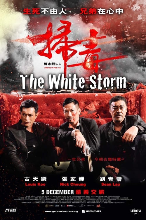 ดูหนังออนไลน์ฟรี The White Storm (2013) โคตรคนโค่นคนอันตราย