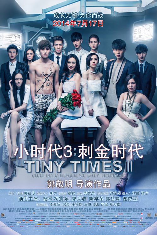 ดูหนังออนไลน์ฟรี Tiny Times 3 (2014) วันเวลาคราทุกข์ทน