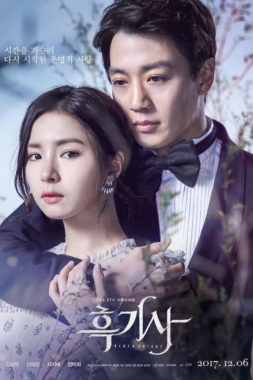 ดูหนังออนไลน์ฟรี Black Knight (2017) อัศวินรักข้ามเวลา EP.1-20 จบ (พากย์ไทย)