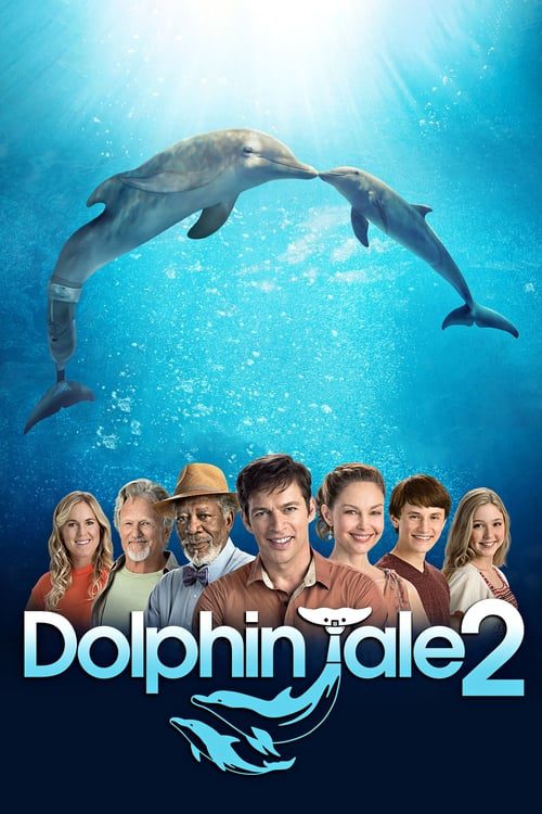 ดูหนังออนไลน์ฟรี Dolphin Tale 2 (2014) มหัศจรรย์โลมาหัวใจนักสู้ 2