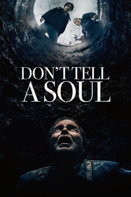 ดูหนังออนไลน์ฟรี Dont Tell a Soul (2020)