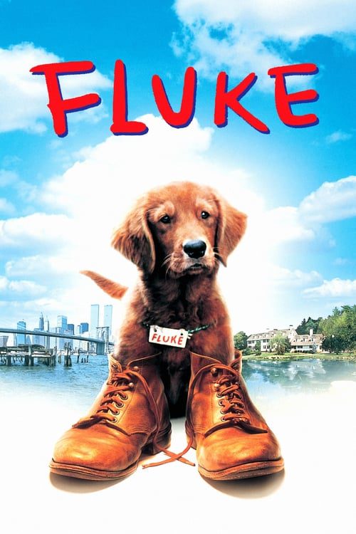 ดูหนังออนไลน์ฟรี FLUKE (1995)
