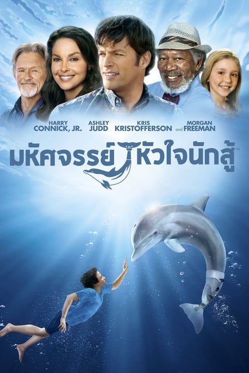 ดูหนังออนไลน์ฟรี [NETFLIX] Dolphin Tale (2011) มหัศจรรย์โลมาหัวใจนักสู้