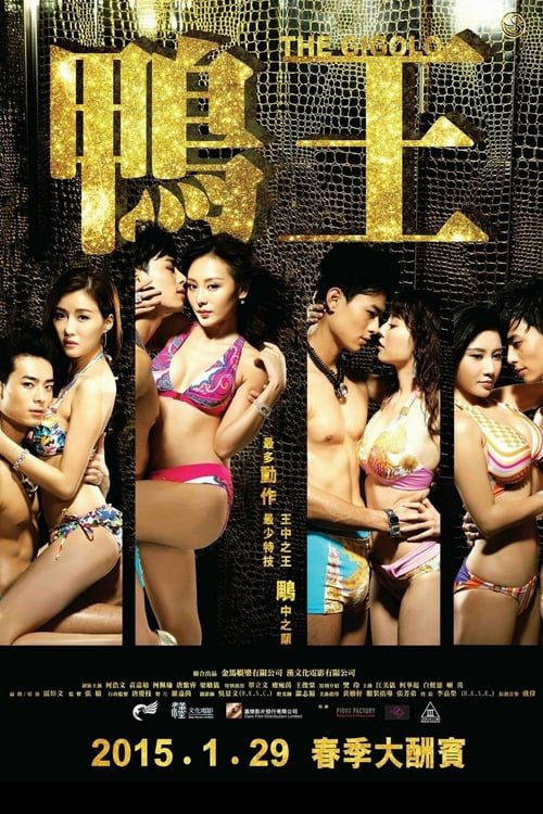 ดูหนังออนไลน์ฟรี The Gigolo (2015) เสน่ห์รักหนุ่มจิ๊กโกโล่