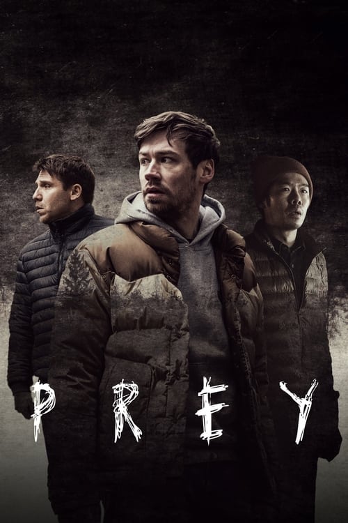 ดูหนังออนไลน์ฟรี [NETFLIX] Prey (2021) เหยื่อ
