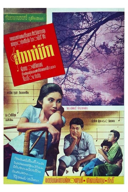 ดูหนังออนไลน์ฟรี สวรรค์มืด (1958)