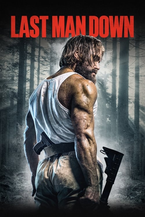ดูหนังออนไลน์ฟรี Last Man Down (2021)