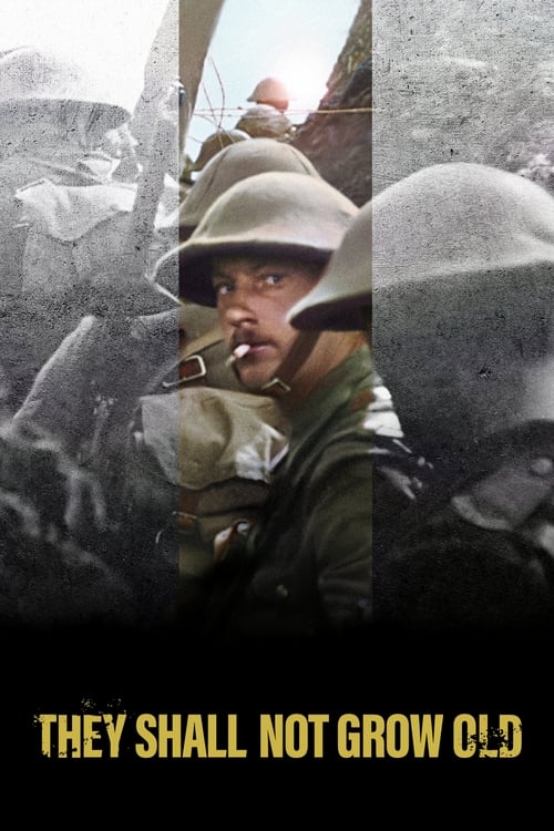 ดูหนังออนไลน์ฟรี [NETFLIX] They Shall Not Grow Old (2018)