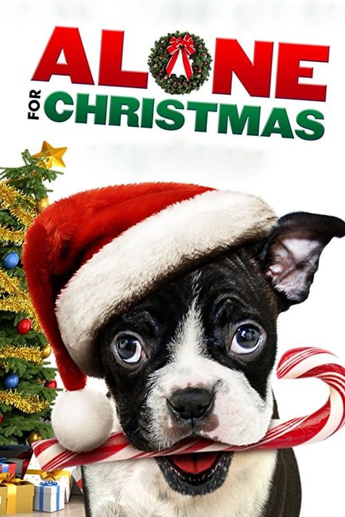 ดูหนังออนไลน์ฟรี Alone For Christmas (2013) แก๊งน้องหมาโดดเดี่ยวผู้น่ารัก