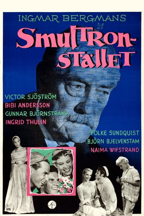ดูหนังออนไลน์ฟรี Wild Strawberries (1957)