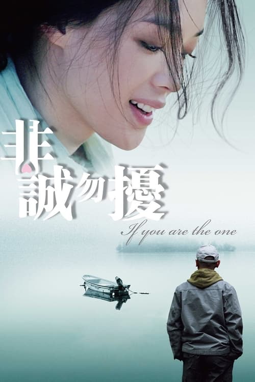ดูหนังออนไลน์ฟรี [NETFLIX] If You Are the One (2008) ผิดรักหัวใจหลงลึก