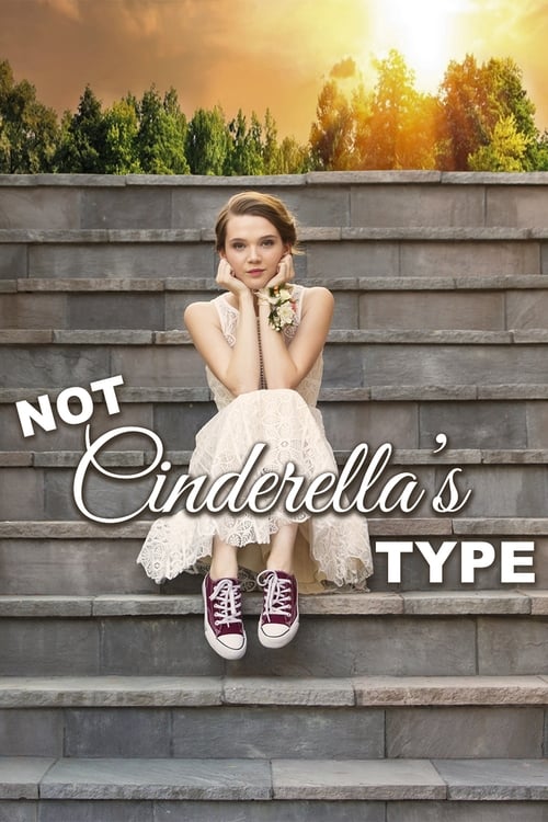 ดูหนังออนไลน์ฟรี Not Cinderella s Type (2018)