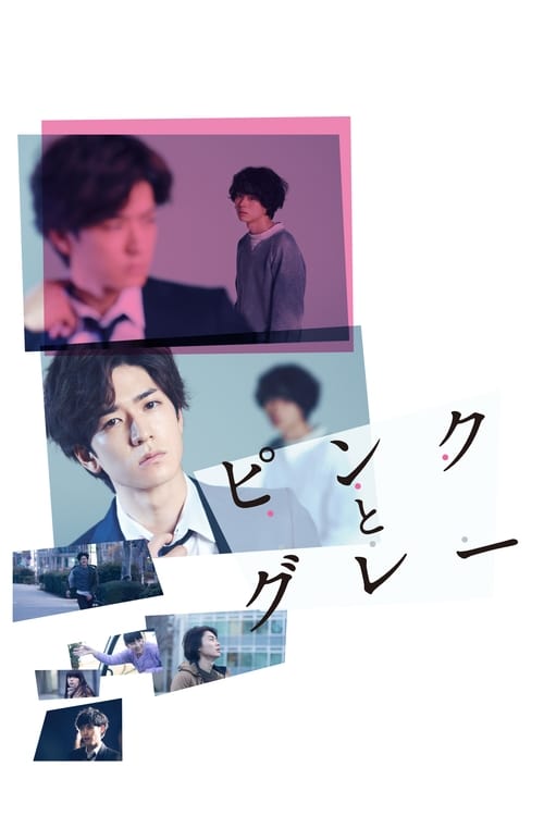 ดูหนังออนไลน์ฟรี Pink and Gray (2016) พิพากษาปริศนาคนตาย