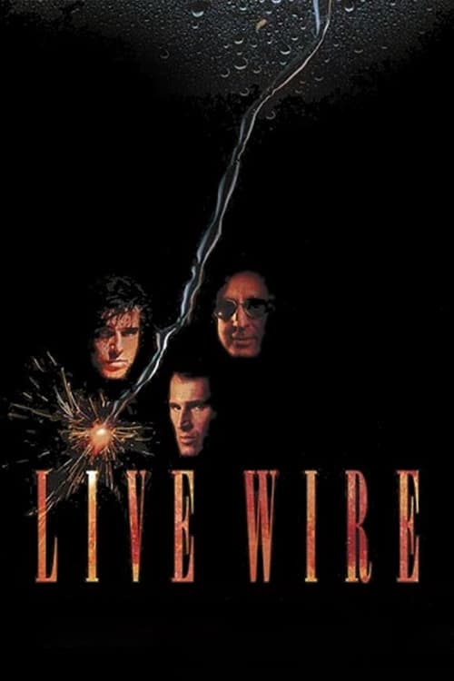 ดูหนังออนไลน์ฟรี Live Wire (1992) พยัคฆ์ร้ายหยุดนรก