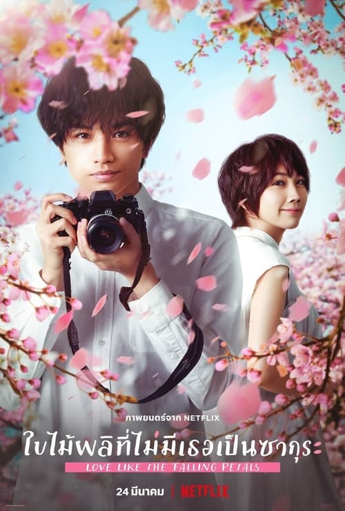 ดูหนังออนไลน์ฟรี [NETFLIX] Love Like the Falling Petals (2022) ใบไม้ผลิที่ไม่มีเธอเป็นซากุระ