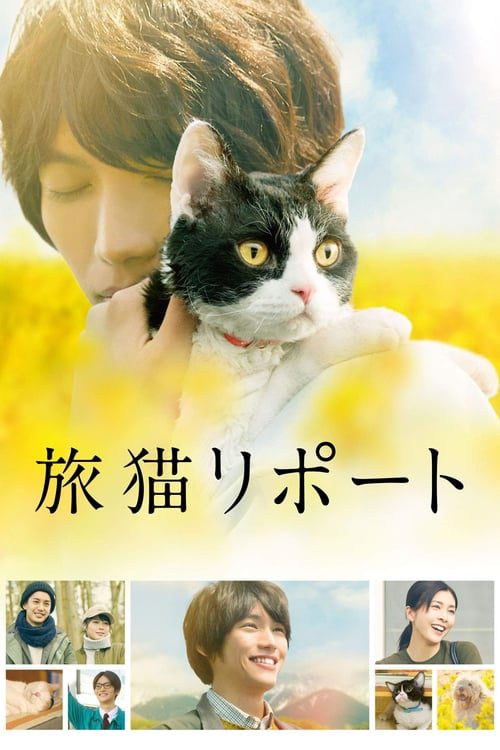 ดูหนังออนไลน์ฟรี THE TRAVELLING CAT CHRONICLES (2018) ผม แมว และการเดินทางของเรา