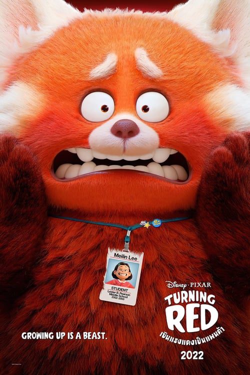 ดูหนังออนไลน์ฟรี Turning Red (2022) เขินแรงแดงเป็นแพนด้า