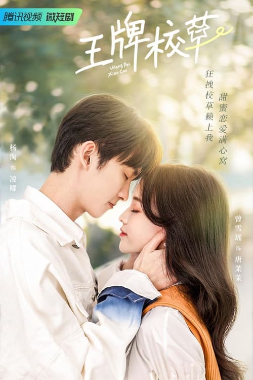 ดูหนังออนไลน์ฟรี Campus Ace (2022) เกมรักของคุณชายตัวร้าย EP.1-24