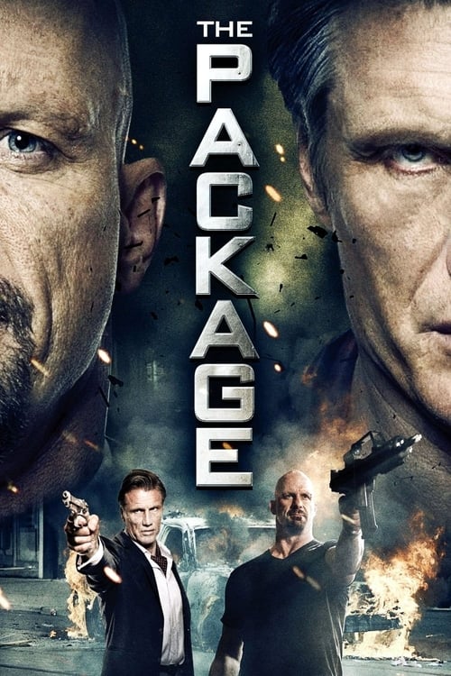 ดูหนังออนไลน์ฟรี The Package (2013) แพ็คนรกคู่มหากาฬ