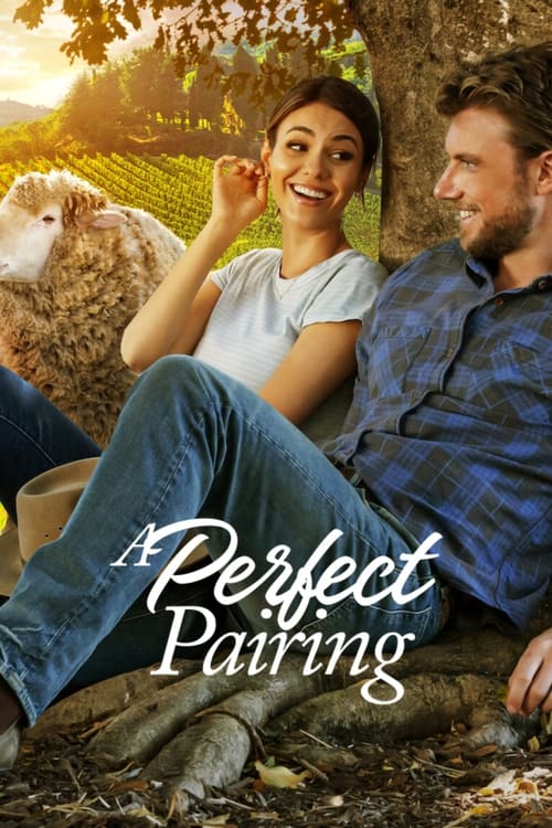 ดูหนังออนไลน์ฟรี [NETFLIX] A Perfect Pairing (2022) คู่นี้… คือเพอร์เฟค
